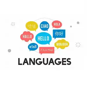  دارالترجمه و مترجمین عصر زبان