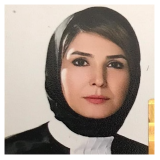 وکیل  سمیه حسینی دُختدر  سعادت آباد